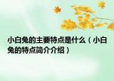 小白兔的主要特点是什么（小白兔的特点简介介绍）