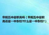阜阳五中是职高吗（阜阳五中是职高还是一中东校?什么是一中东校?）