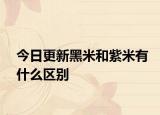 今日更新黑米和紫米有什么区别