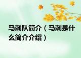 马刺队简介（马刺是什么简介介绍）