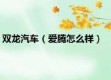 双龙汽车（爱腾怎么样）