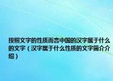 按照文字的性质而言中国的汉字属于什么的文字（汉字属于什么性质的文字简介介绍）