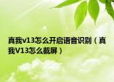 真我v13怎么开启语音识别（真我V13怎么截屏）