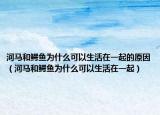 河马和鳄鱼为什么可以生活在一起的原因（河马和鳄鱼为什么可以生活在一起）