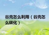 谷壳怎么利用（谷壳怎么碳化）