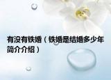 有没有铁婚（铁婚是结婚多少年简介介绍）