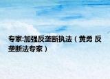 专家:加强反垄断执法（黄勇 反垄断法专家）