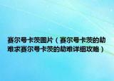 赛尔号卡茨图片（赛尔号卡茨的劫难求赛尔号卡茨的劫难详细攻略）