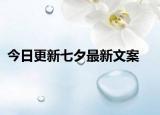 今日更新七夕最新文案