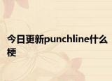 今日更新punchline什么梗