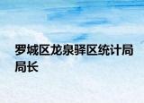 罗城区龙泉驿区统计局局长