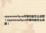 opporeno5pro传情功能怎么设置（opporeno5pro传情功能怎么设置）