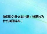 特斯拉为什么叫小鹏（特斯拉为什么叫间谍车）