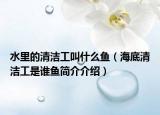 水里的清洁工叫什么鱼（海底清洁工是谁鱼简介介绍）