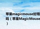苹果magicmouse好用吗（苹果MagicMouse）