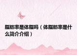 脂肪率是体脂吗（体脂肪率是什么简介介绍）
