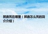 郭嘉死在哪里（郭嘉怎么死的简介介绍）