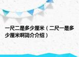 一尺二是多少厘米（二尺一是多少厘米啊简介介绍）