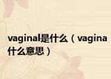 vaginal是什么（vagina什么意思）