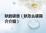 驮的读音（驮怎么读简介介绍）