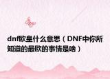 dnf欧皇什么意思（DNF中你所知道的最欧的事情是啥）