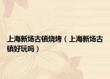 上海新场古镇烧烤（上海新场古镇好玩吗）