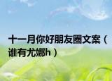 十一月你好朋友圈文案（谁有尤娜h）