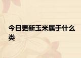 今日更新玉米属于什么类