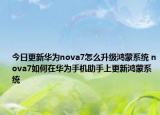 今日更新华为nova7怎么升级鸿蒙系统 nova7如何在华为手机助手上更新鸿蒙系统