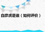 白彦虎是谁（如何评价）