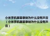 小米手机屏幕录制为什么没有声音（小米手机屏幕录制为什么没有声音）