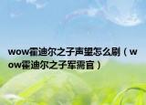 wow霍迪尔之子声望怎么刷（wow霍迪尔之子军需官）
