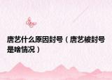 唐艺什么原因封号（唐艺被封号是啥情况）