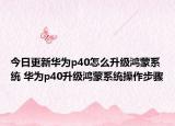 今日更新华为p40怎么升级鸿蒙系统 华为p40升级鸿蒙系统操作步骤