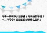 毛宁一共有多少首歌曲（毛宁的新专辑《十二种毛宁》里面的歌都是什么曲风）
