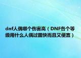 dnf人偶哪个伤害高（DNF各个等级用什么人偶过图快而且又便宜）
