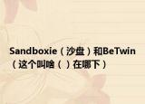 Sandboxie（沙盘）和BeTwin（这个叫啥（）在哪下）