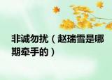 非诚勿扰（赵瑞雪是哪期牵手的）