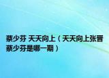 蔡少芬 天天向上（天天向上张晋蔡少芬是哪一期）