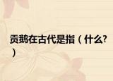 贡鹅在古代是指（什么?）
