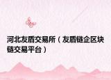 河北友盾交易所（友盾链企区块链交易平台）