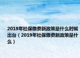2019年社保缴费新政策是什么时候出台（2019年社保缴费新政策是什么）