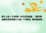 两个人抬一个3还有一片红羽毛成语（《疯狂猜成语红色羽毛两个人抬一个3答案》疯狂猜成语）
