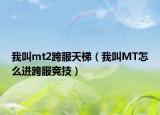 我叫mt2跨服天梯（我叫MT怎么进跨服竞技）