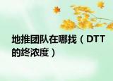 地推团队在哪找（DTT的终浓度）