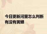 今日更新河里怎么判断有没有黄鳝
