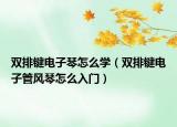 双排键电子琴怎么学（双排键电子管风琴怎么入门）