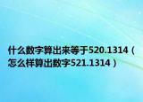 什么数字算出来等于520.1314（怎么样算出数字521.1314）