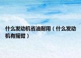 什么发动机省油耐用（什么发动机有摇臂）