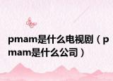 pmam是什么电视剧（pmam是什么公司）